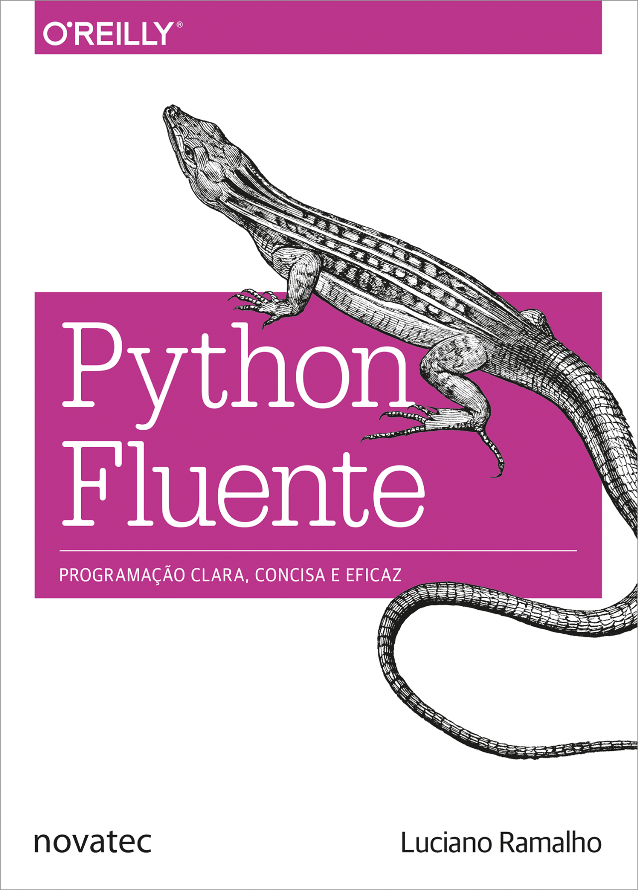 Python Fluente